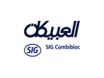 Intellicon Systems as business consultant